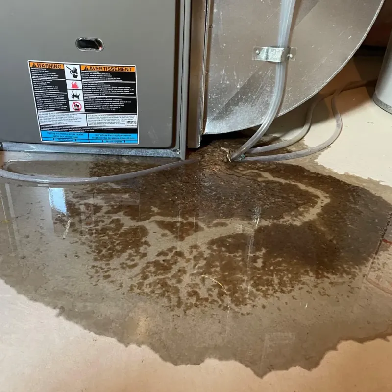 Appliance Leak Cleanup in Pinehurst, ID